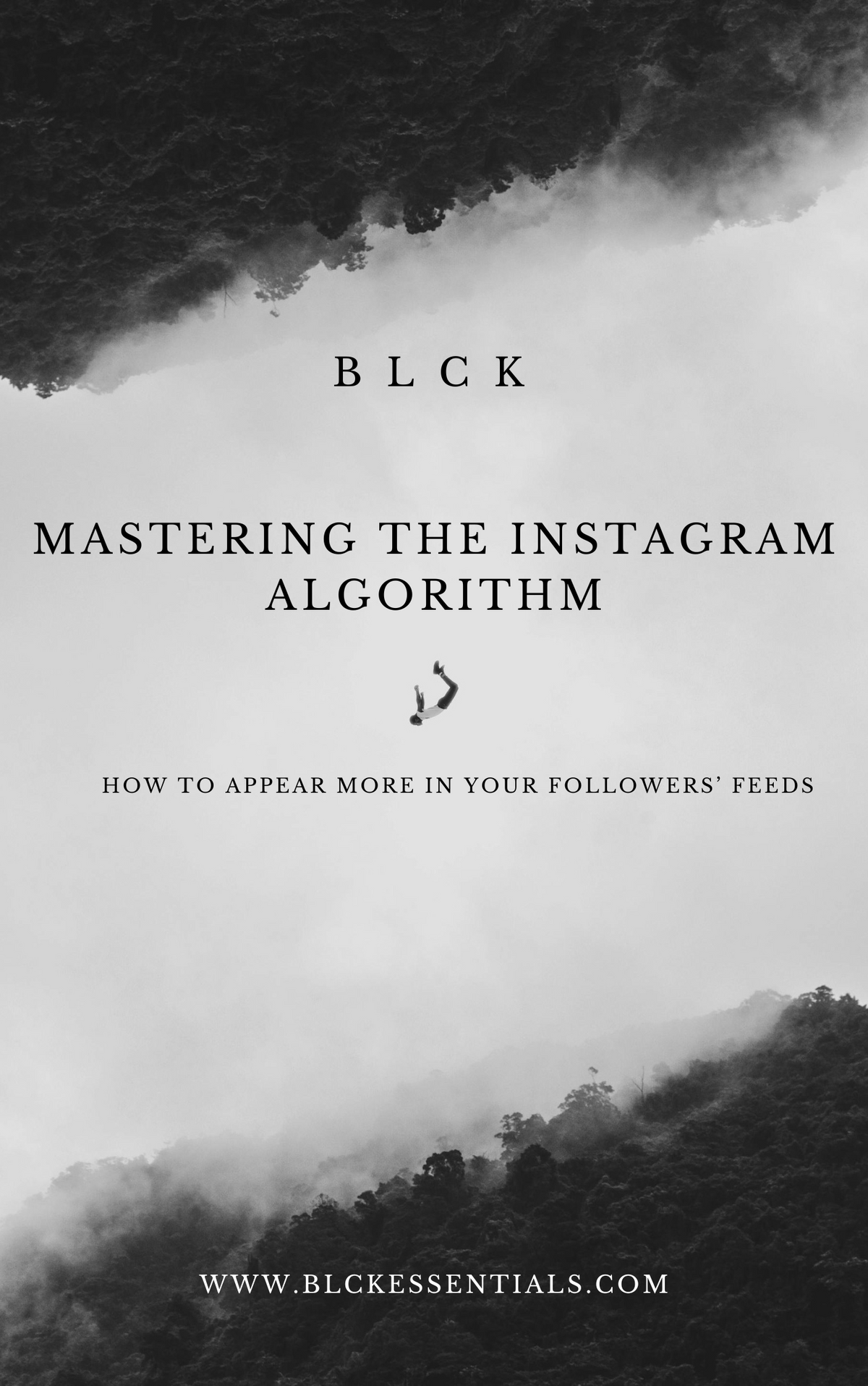 Mastering The Instagram Algorithm